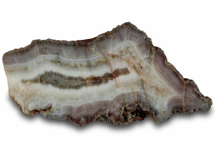 Polished Pilbara Agate Section - Oldest Known Agate #314403